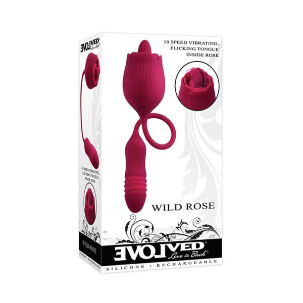 Wild Rose